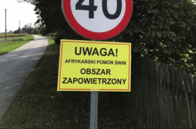 442746