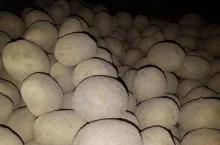 710691