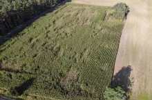 created by dji camera