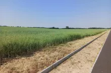 895863
