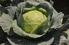 710524