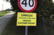 225336
