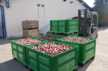 192621