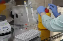 225070