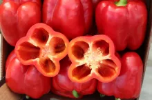Papryka Seminis