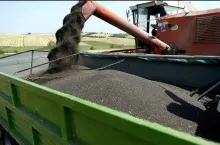 224601