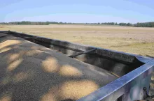 224597