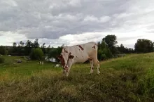 918778