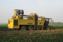 918685