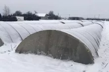 Mróz w styczniu