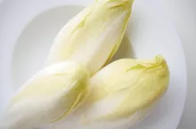 cykoria