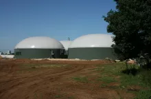 223784