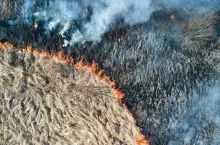 Aerial view of grassland field burning with red fire during dry season. Natural disaster and climate change concept.