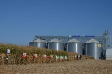 Silosy zbożowe przechowujące kukurydzę