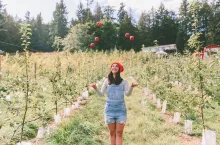 192453