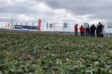 Centrum Kompetencji Basf Rynchowo;