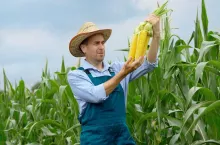 CIECH kontynuuje ekspansję biznesu Agro w Rumunii; Fot. prasowa