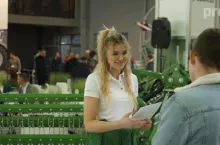 498656