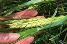 SAMSUNG DIGITAL CAMERA