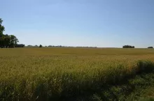 918411