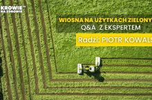 fot. materiały prasowe