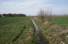 rów melioracyjny