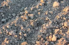 potencjał plonotwórczy gleb ziemia pole