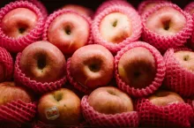Collection of fresh tasty ripe red apples in packing protective net