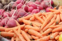 Carrots and radishes on display for sale. Organic vegetables at farmers market.