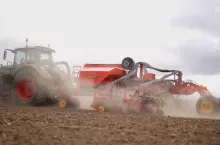 498604