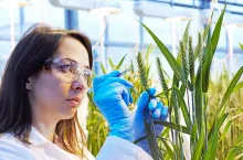 BASF announces its ten-year outlook on agricultural innovations that support food security for future generations, while minimizing the impact of farming on the climate and the environment.