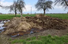 obornik