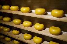Cheese shop display. Farmer cheese. Cheese wheels in store