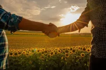 close up, Two man shaking hands in the sunflower field, Concept of agricultural cooperation