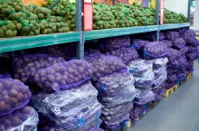 Rows of packed potatoes in a supermarket.