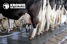 opłacalność produkcji mleka