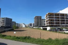 Uprawa konopi włóknistych w Lublinie przy ul. Jantarowej, fot. M. Brodowska