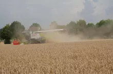 claas kombajn pszenica