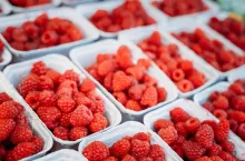 Assortment Of Fresh Yummy Organic Red Berries Raspberries At Produce Local Market In Trays, Containers.