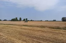 kombajn żniwa