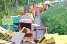 Fot. Pasieka Rodzinna Jan Freda i Izabela Wrona