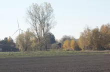 las zalesienie
