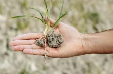 hand touches dry and dry ground.