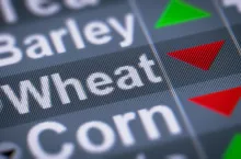 The Index of Wheat on The Screen.