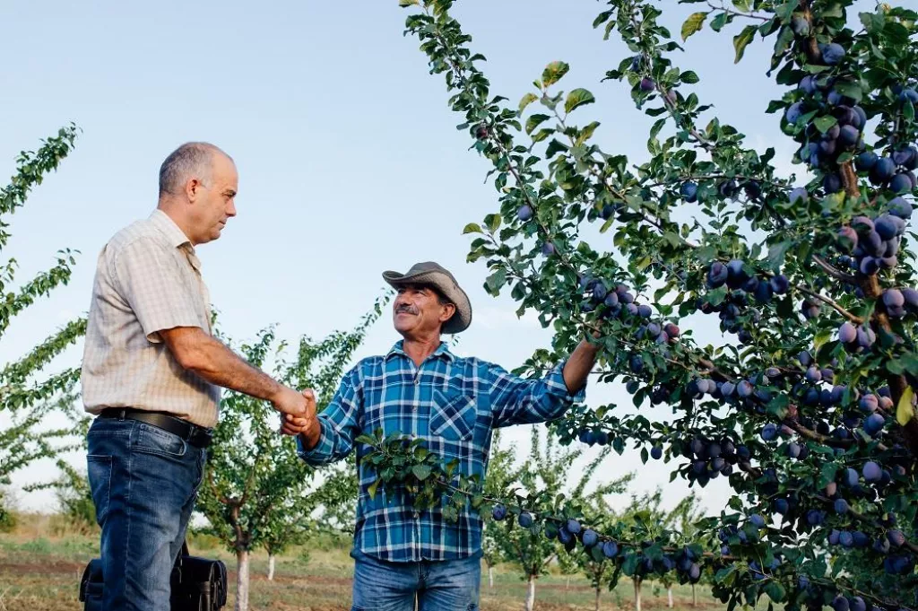 &lt;p&gt;agribusiness concept, Farmers and businessman shaking hand on the plum orchard background. Success in agro business&lt;/p&gt;