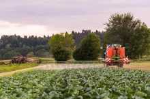 Tractor spraying pesticides on cabbage field. agriculture concept