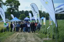 Syngenta Pola klasy S