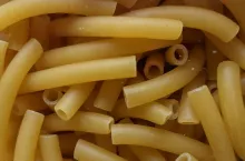 makaron pszenica durum