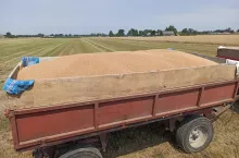 zboże przyczepa