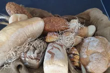 żywność